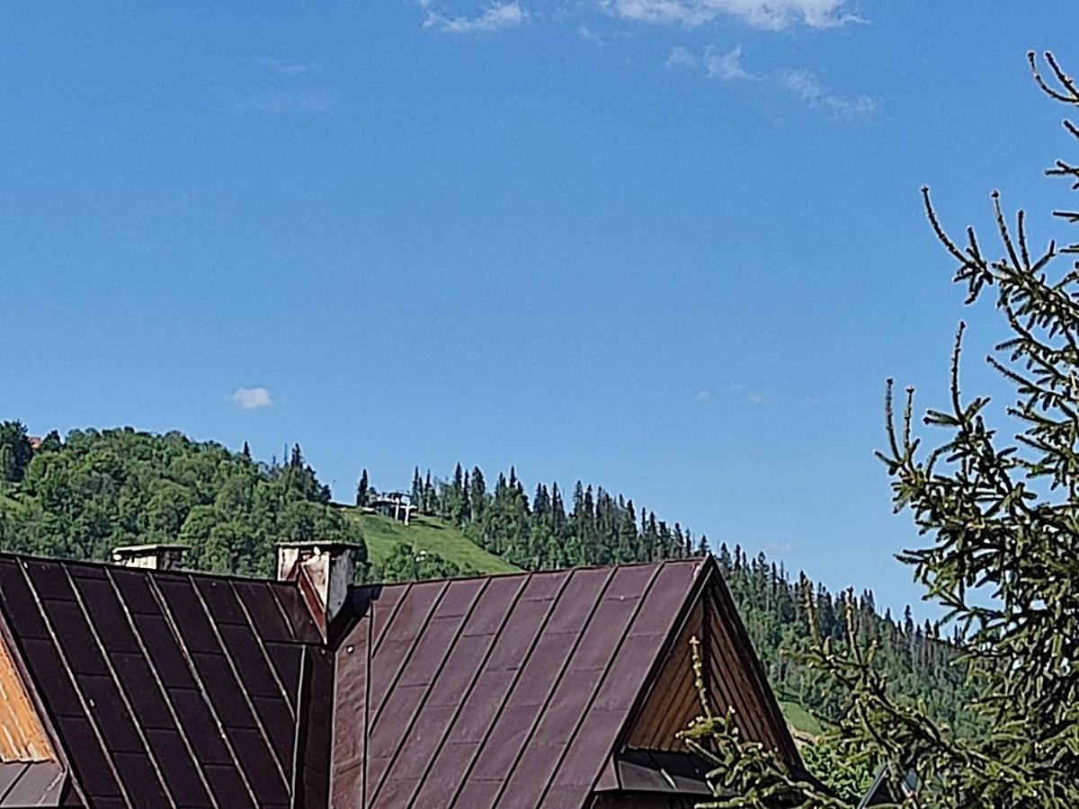 Willa Seba Zakopane Exterior foto