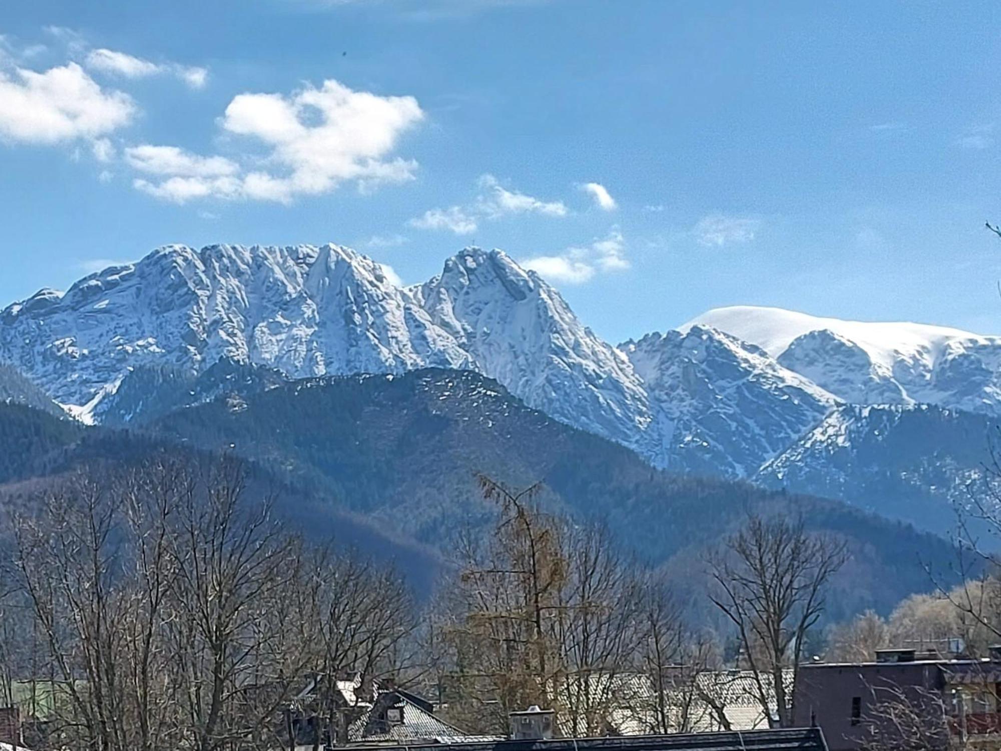Willa Seba Zakopane Exterior foto